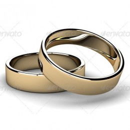 Nam imperdiet urna nec lectus mollis 